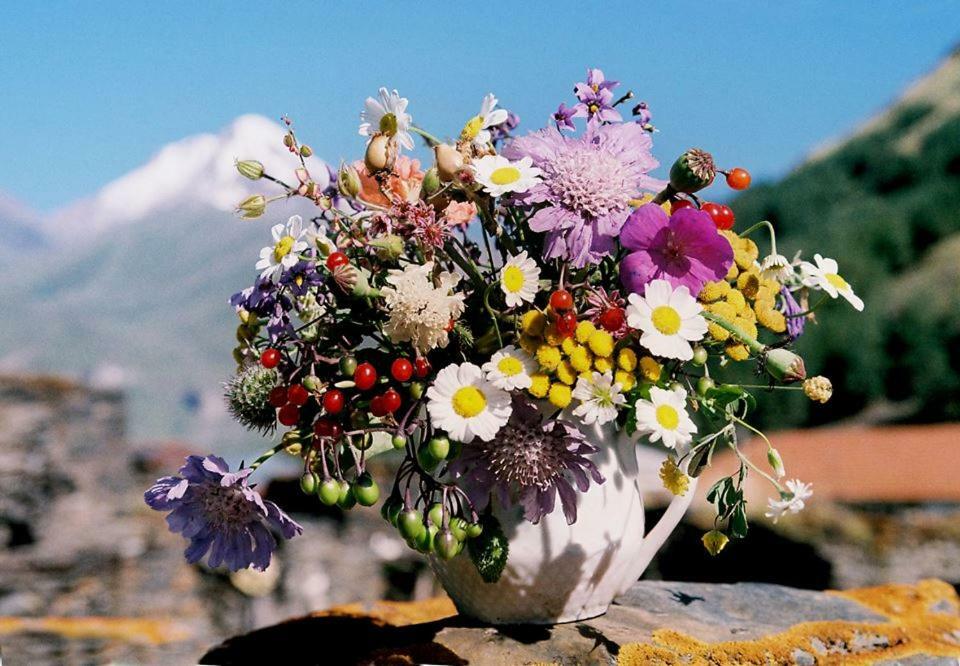 Hotel Sno House Kazbegi Esterno foto